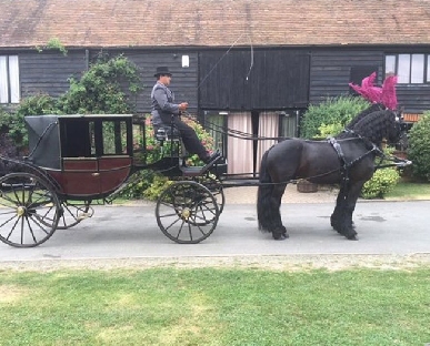 Horse and Carriage Hire in Fowey
