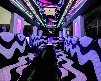 Party Bus Hire (all) in Bridge of Earn
